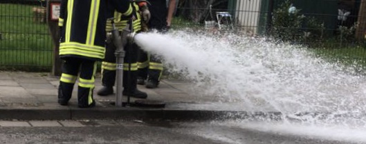 f324df43 4196 4456 8f6a 16cf97fb2312