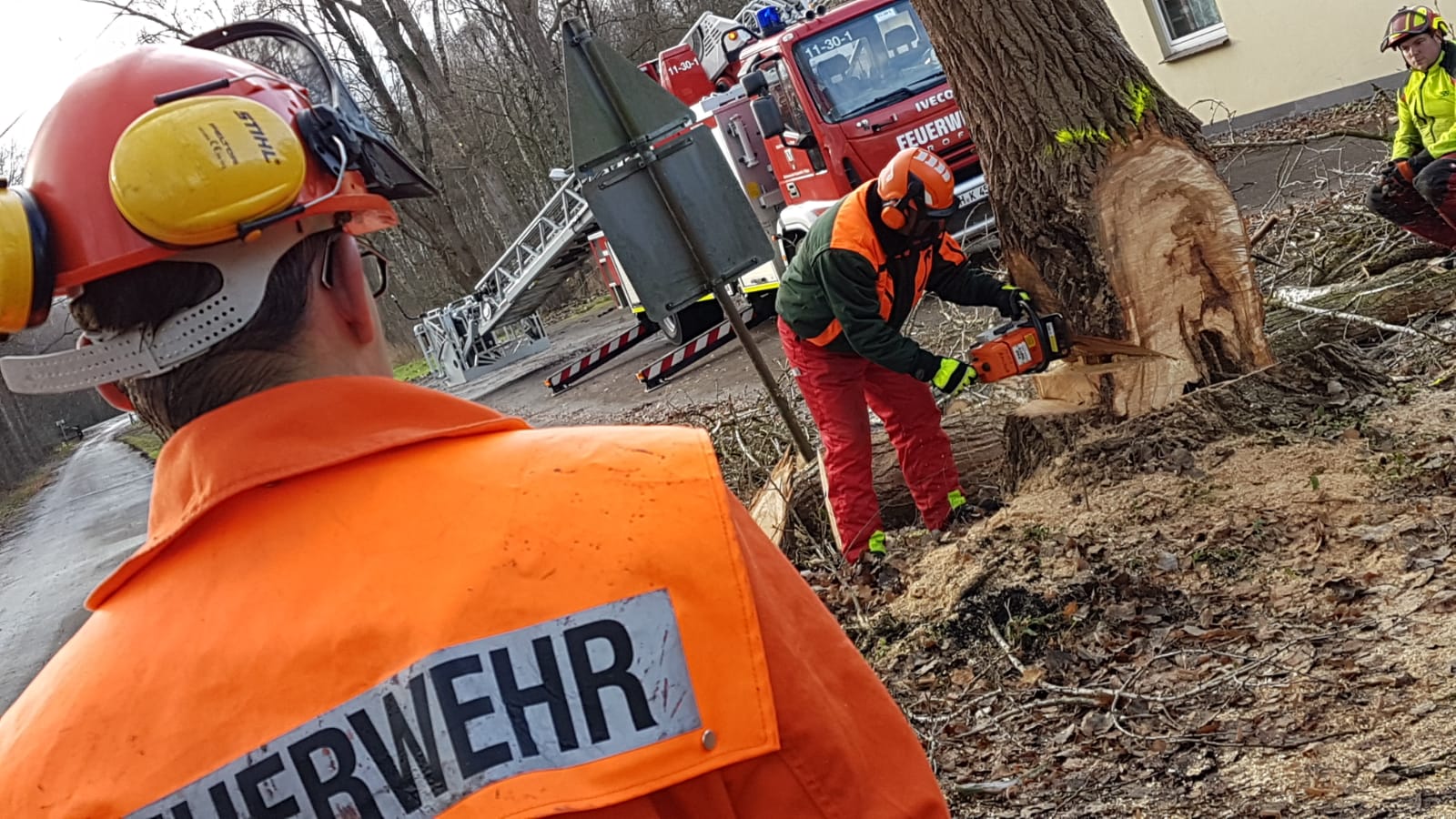 PHOTO 2018 12 01 13 01 471