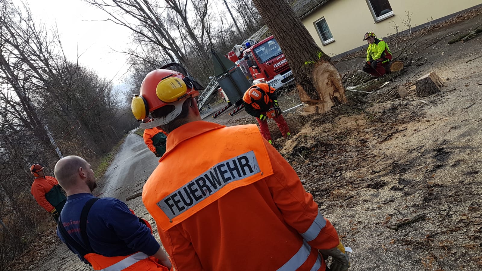 PHOTO 2018 12 01 13 01 472