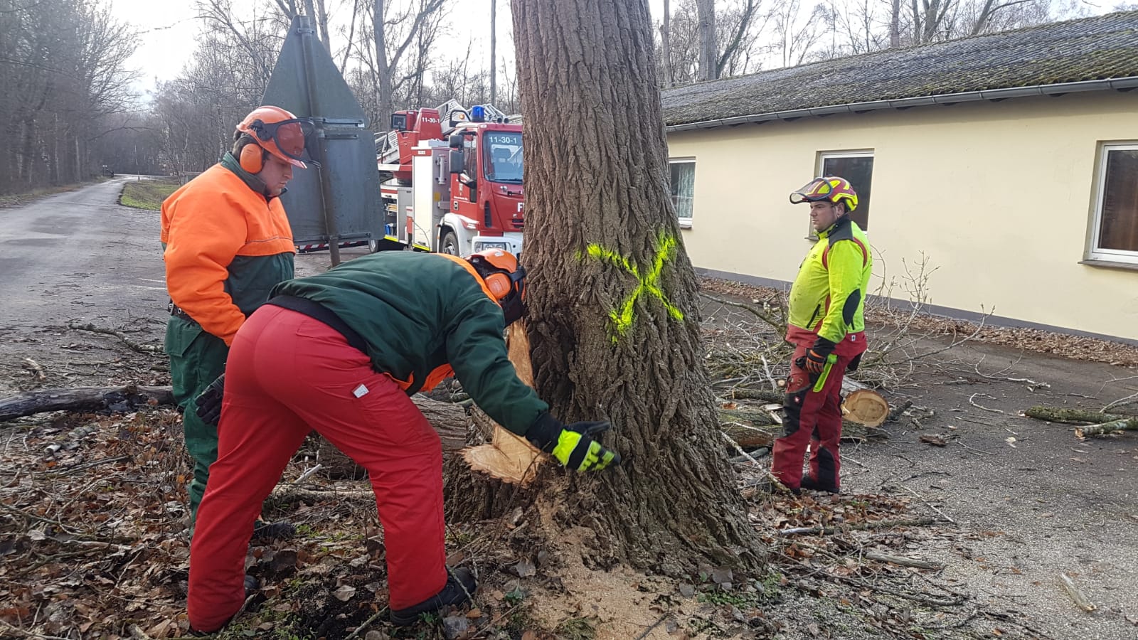 PHOTO 2018 12 01 13 01 48