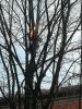 Feuer